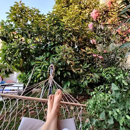 Gasthof Cc's Butik 3*