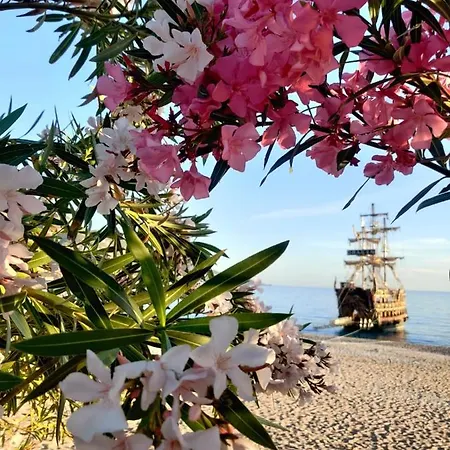 Vendégház Cc's Butik 3*