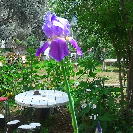 Cc's Butik Oludeniz
