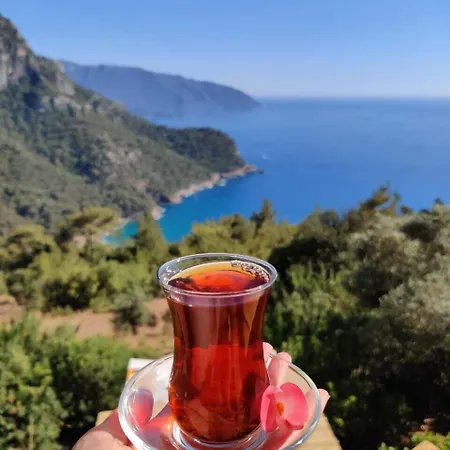 Affittacamere Cc's Butik Ölüdeniz