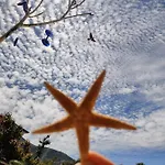 Cc's Butik Oludeniz